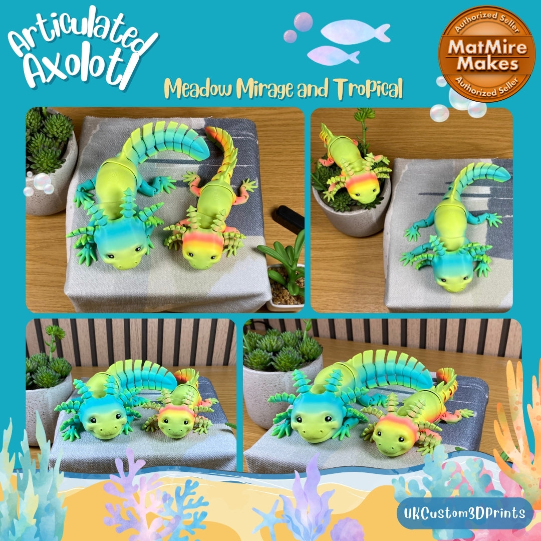 3D Printed Axolotl - Articulated - Fidget Gift