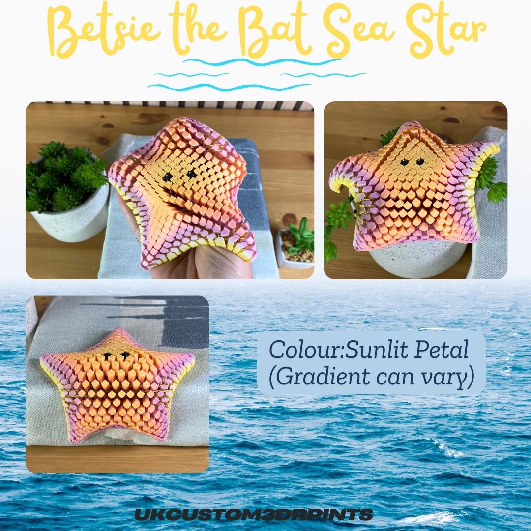 Betsie the Bat Sea Star - 3D Printed Articulated Fidget