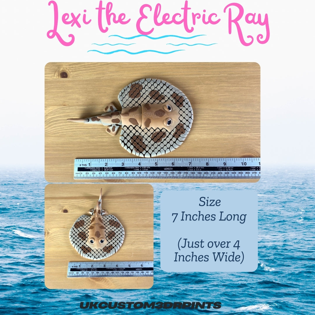 Lexi the Electric Ray - 3D Printed Articulated Fidget