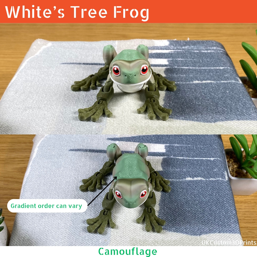 White's Tree Frog - Articulated Fidget