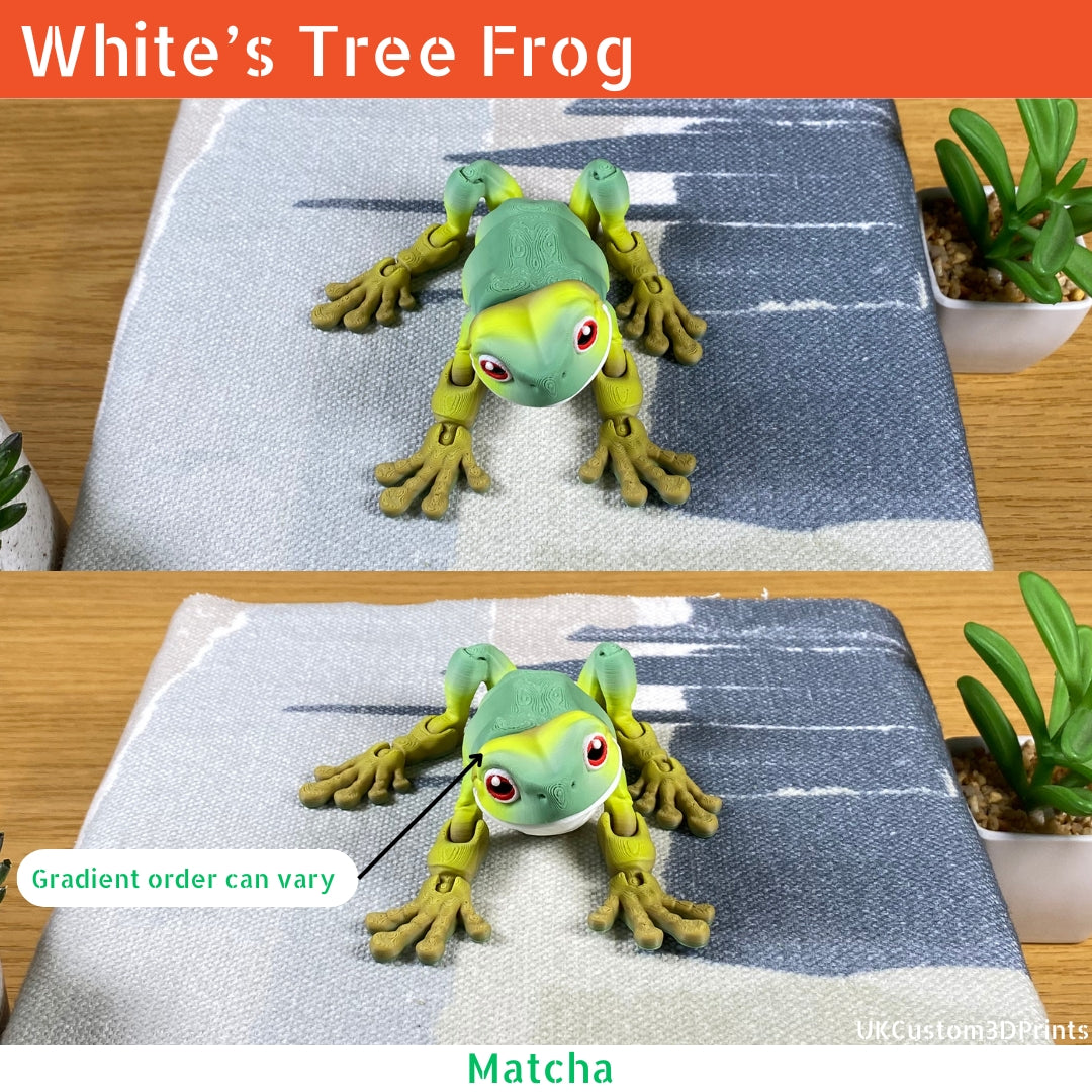 White's Tree Frog - Articulated Fidget