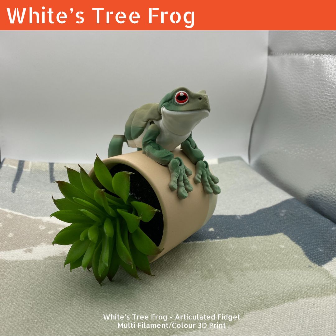 White's Tree Frog - Articulated Fidget