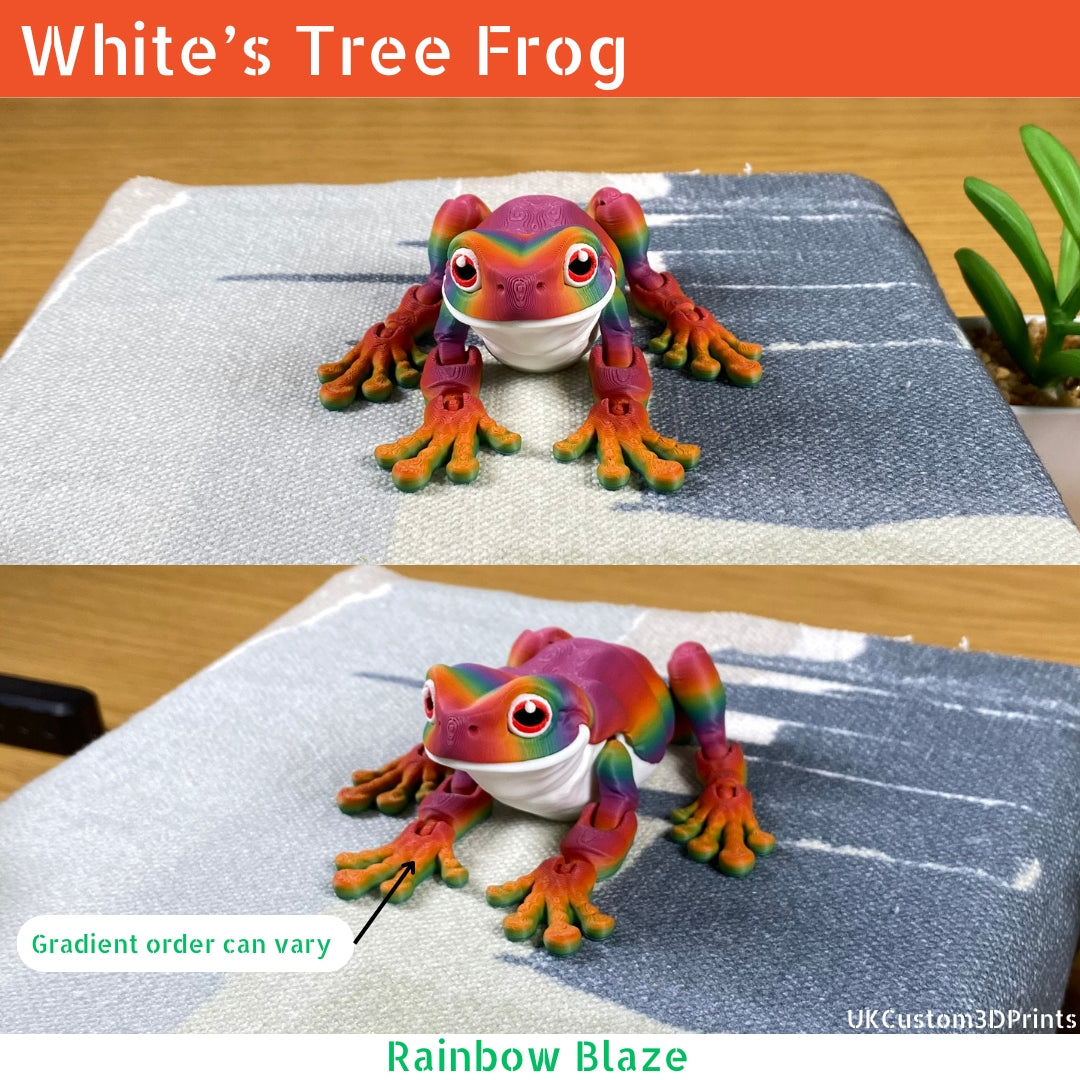 White's Tree Frog - Articulated Fidget