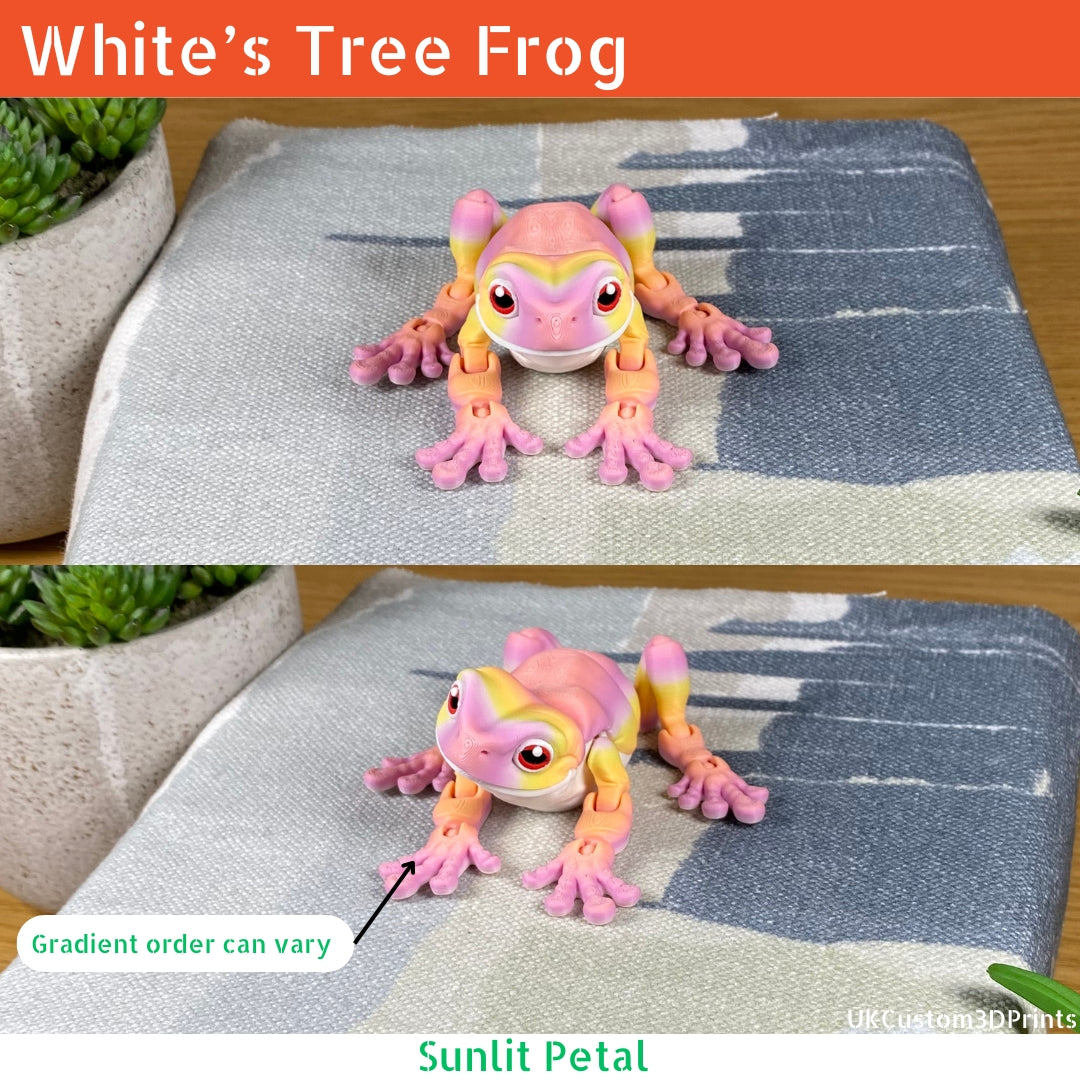 White's Tree Frog - Articulated Fidget