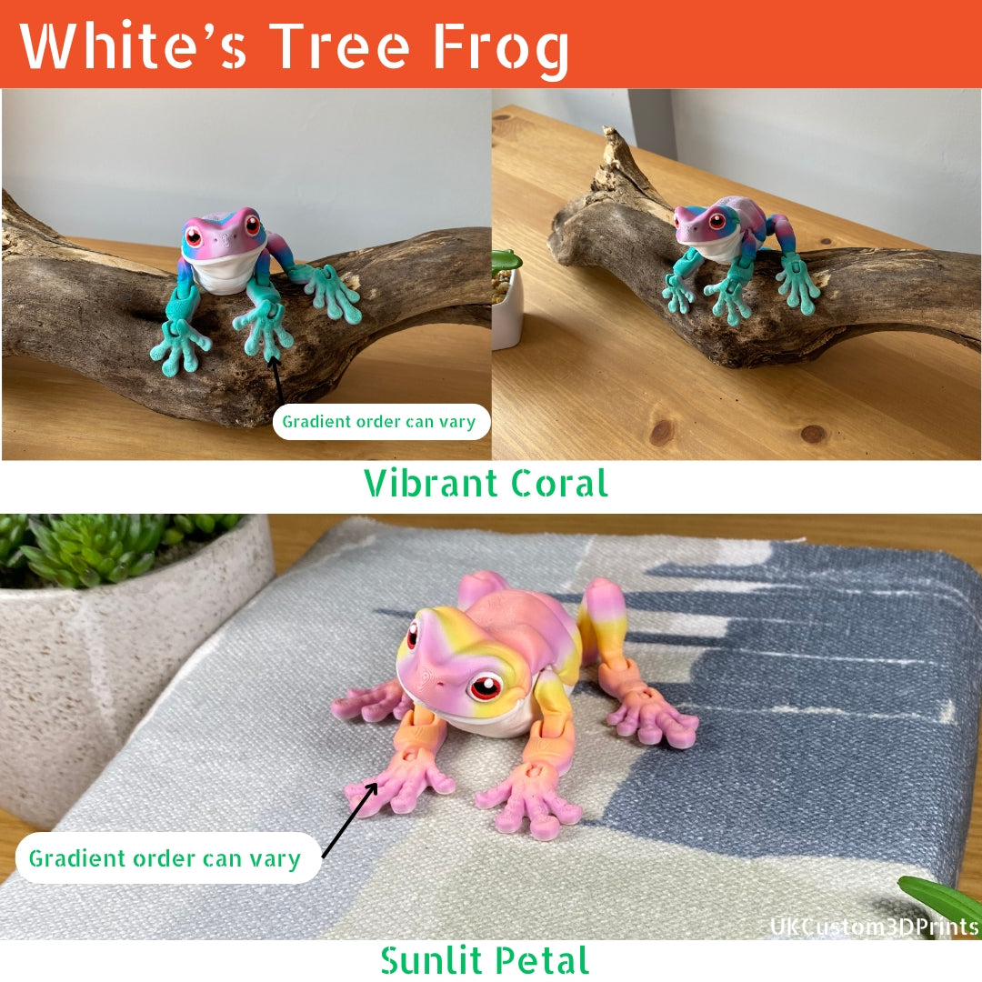 White's Tree Frog - Articulated Fidget