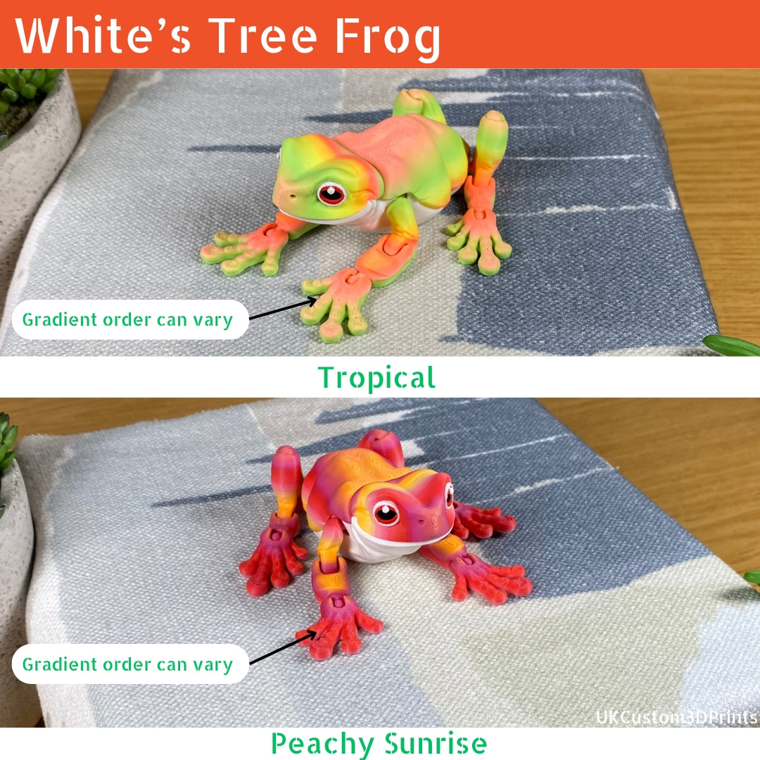 White's Tree Frog - Articulated Fidget