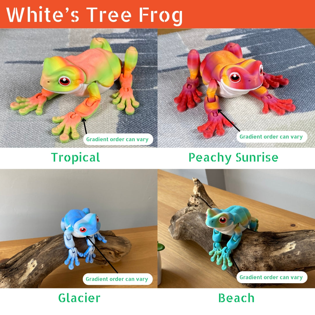 White's Tree Frog - Articulated Fidget